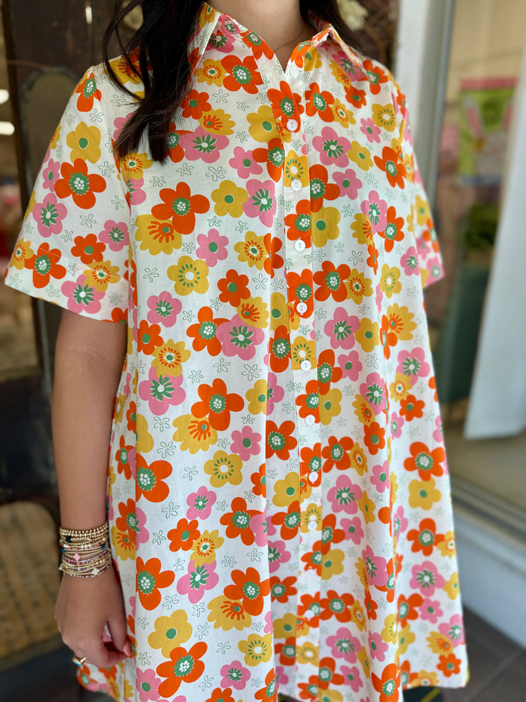 Daisy Collared Dress