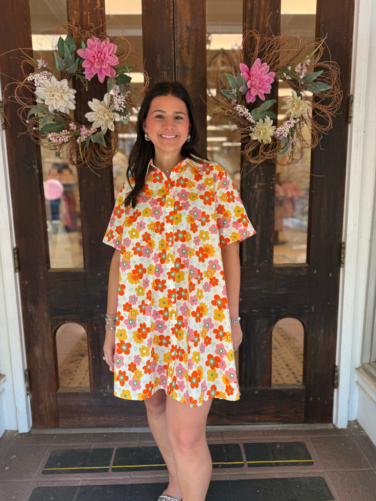Daisy Collared Dress